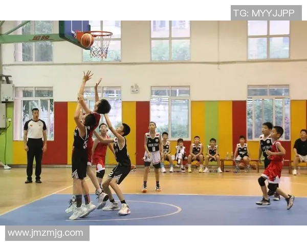 重庆篮球队灵活性排名第二引发热议展现出色团队实力与潜力